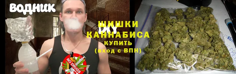 Конопля Ganja  купить закладку  Александровск-Сахалинский 